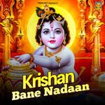 Krishan Bane Nadaan - Birjesh Sastri Song Download